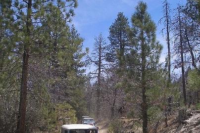 Big Bear April 07 088