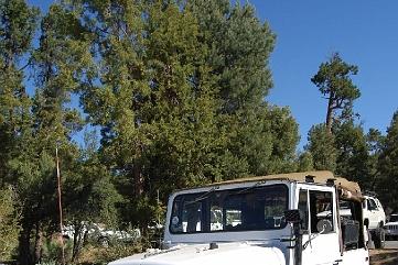 BigBear615