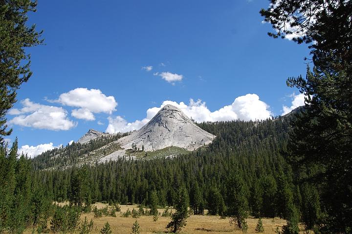 DSC 0734