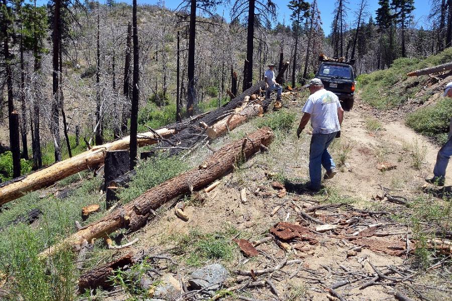 June Adopt-A-Trail