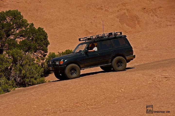 D7K3959