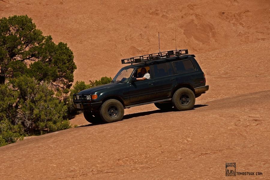 Cruise Moab