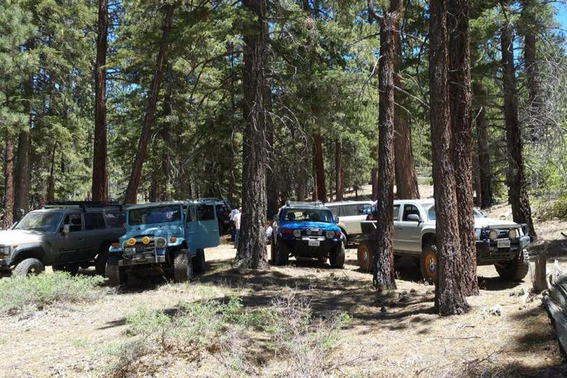 June Adopt-A-Trail