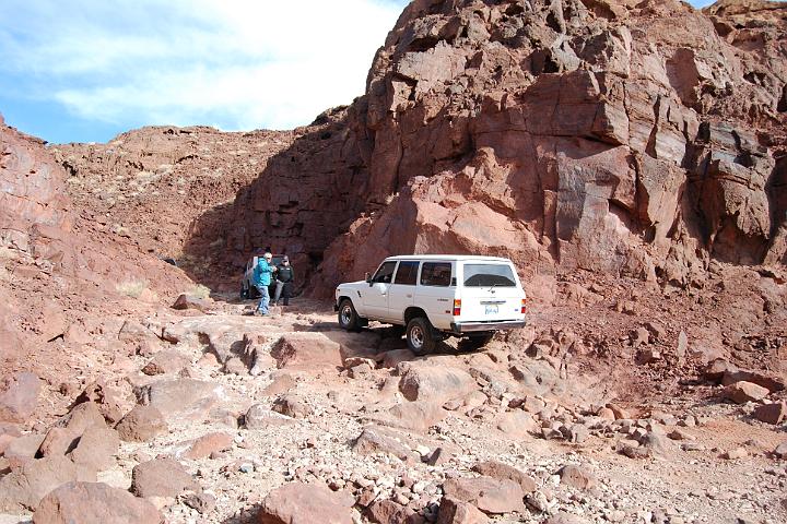 DSC 1352