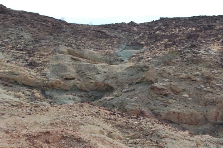DSC 1204