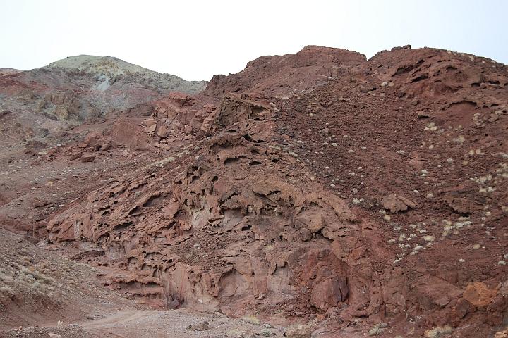 DSC 1437