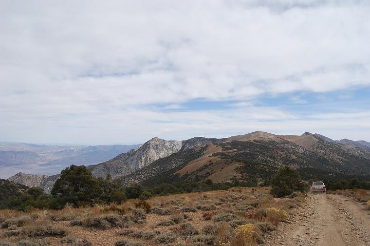 DSC 0244