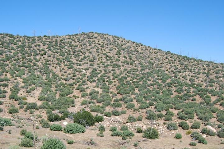 DSC 0746