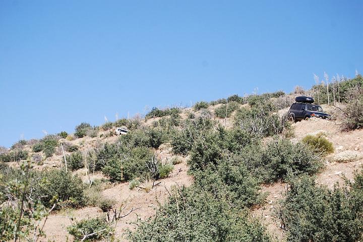 DSC 0780