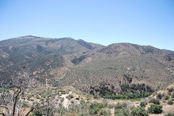 DSC 0788