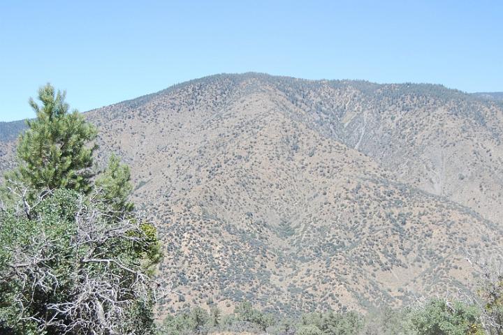 DSC 0899