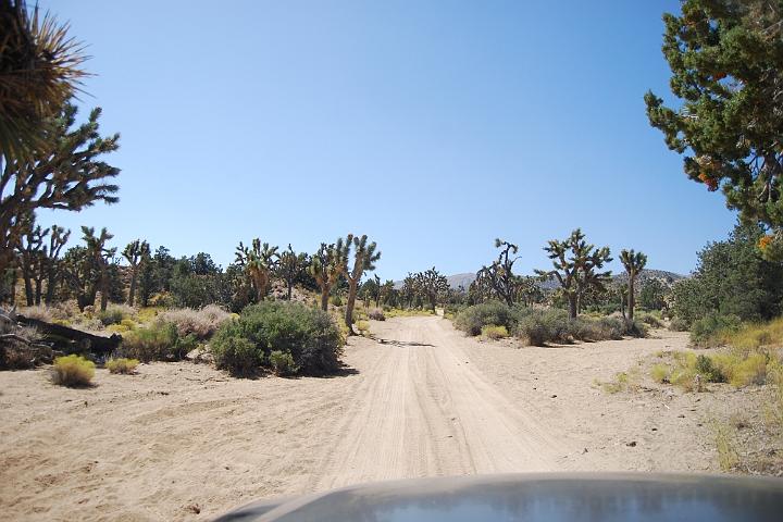 DSC 0661