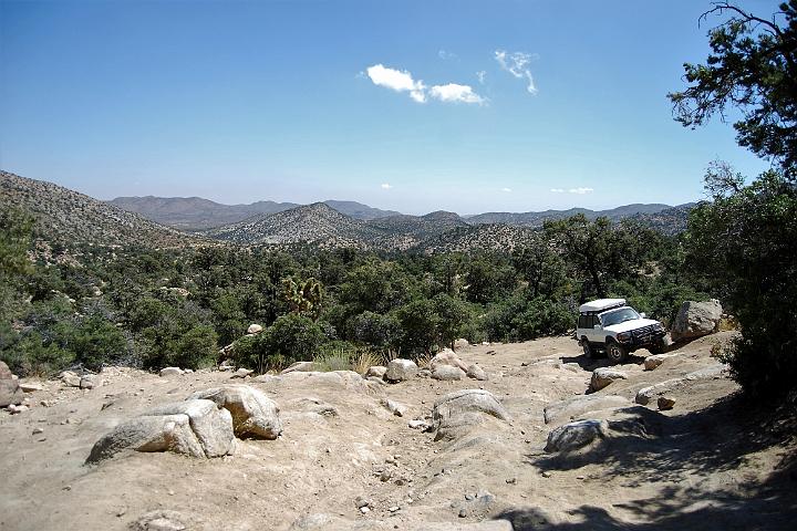 DSC 0710