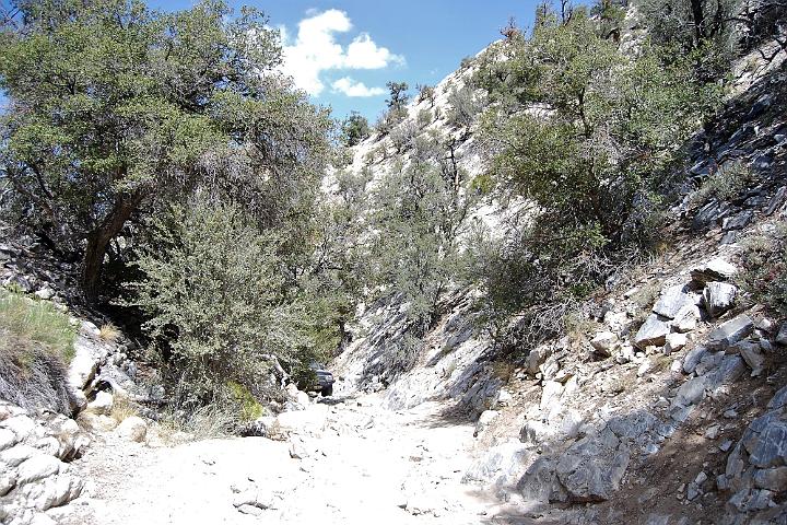 DSC 0730
