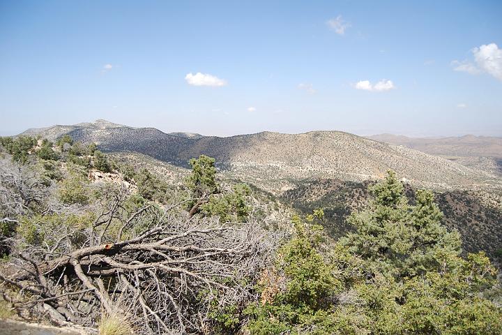DSC 0762