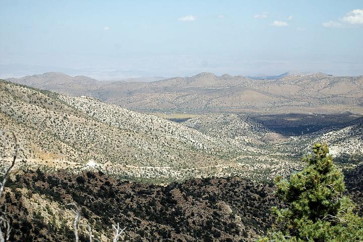 DSC 0763