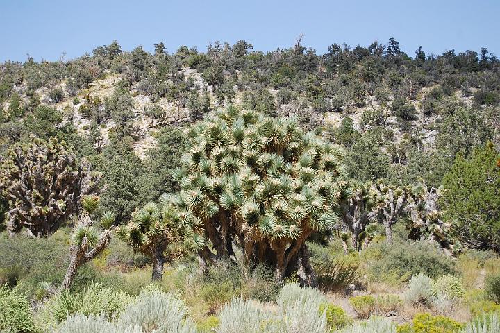 DSC 0797