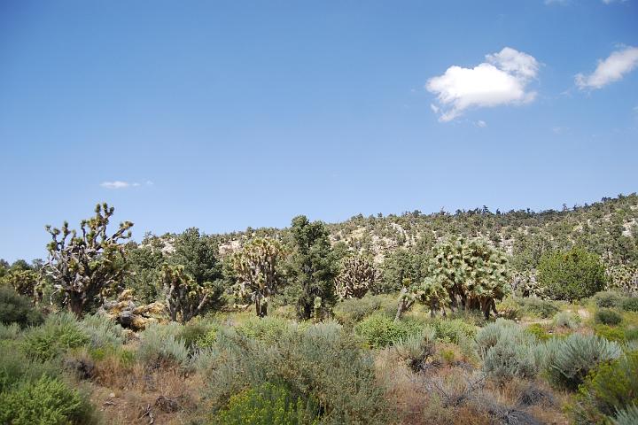 DSC 0798