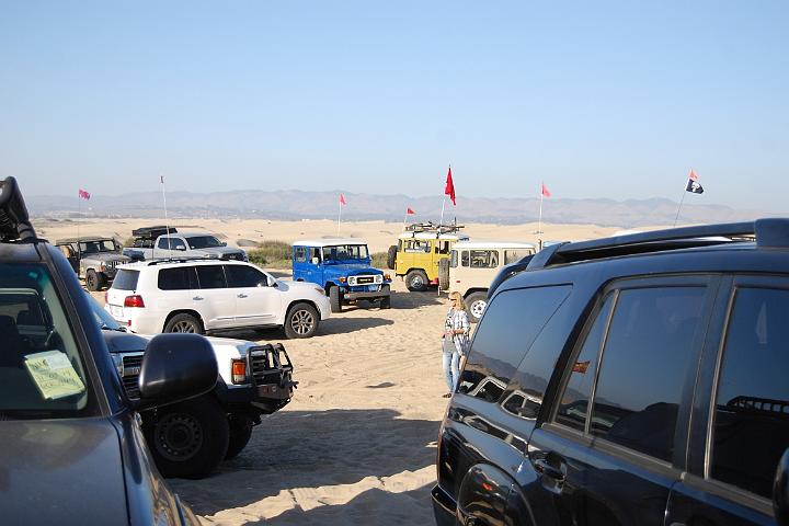 DSC 0825