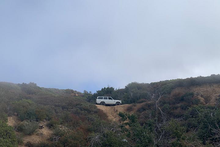IMG 6883