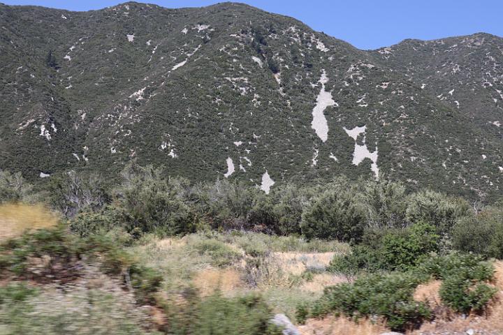 IMG 0160