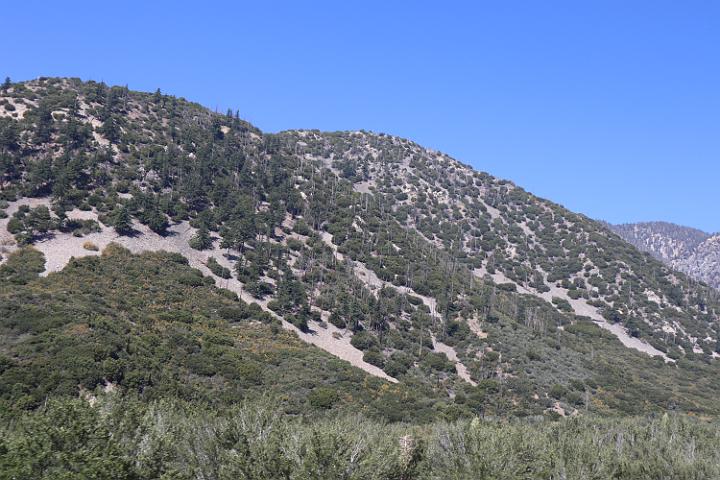 IMG 0161
