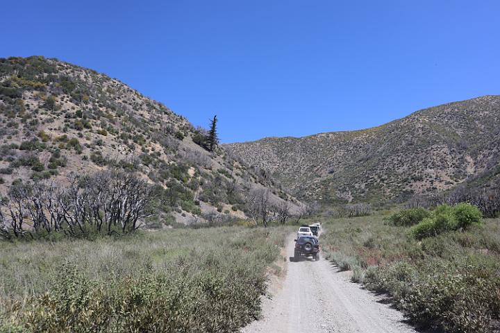 IMG 0191