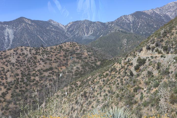 IMG 0192