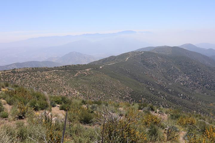 IMG 0197