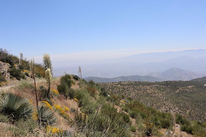 IMG 0199