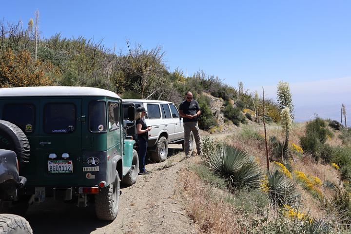 IMG 0201