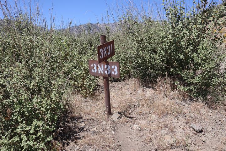 IMG 0203