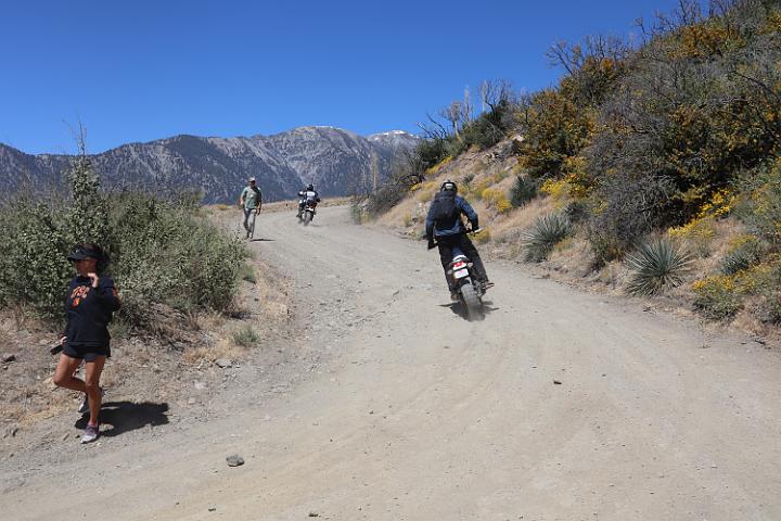 IMG 0206