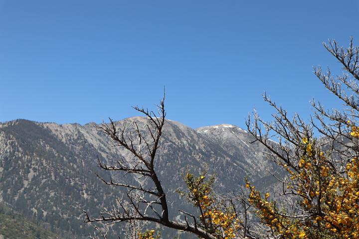 IMG 0207