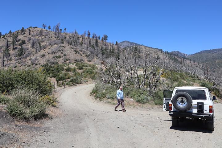 IMG 0209