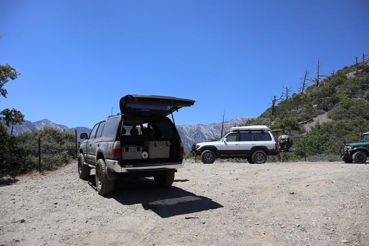IMG 0217