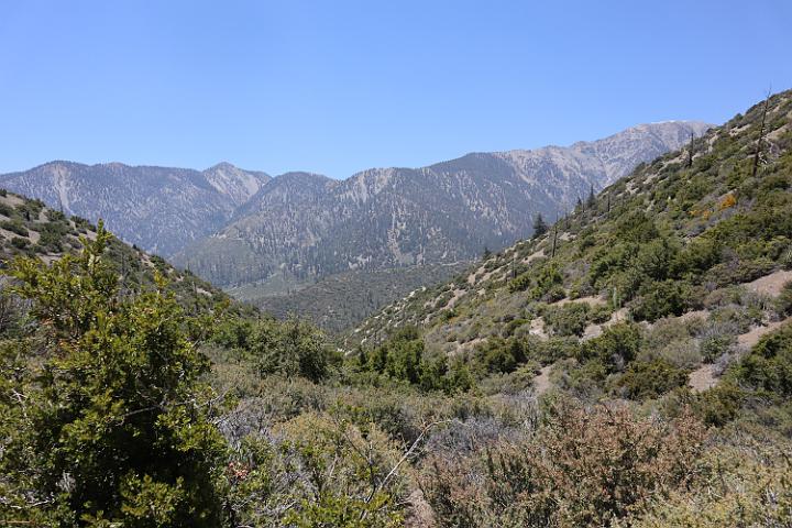 IMG 0222