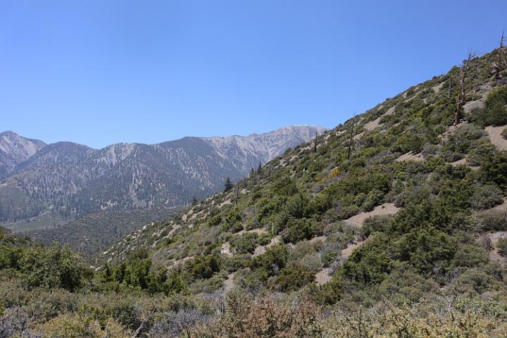 IMG 0223