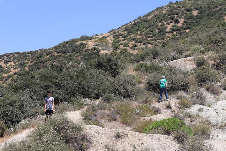 IMG 0235