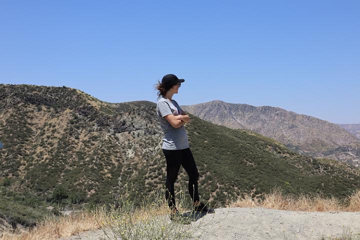 IMG 0242