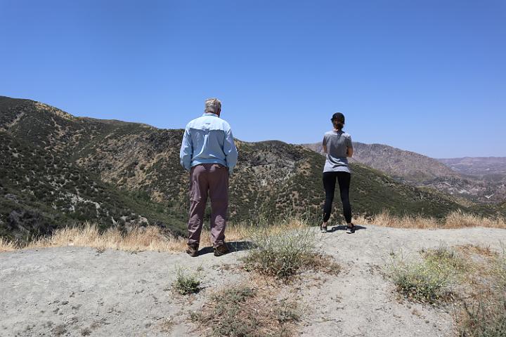 IMG 0244