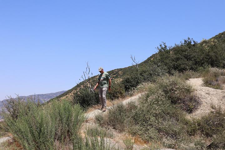 IMG 0245