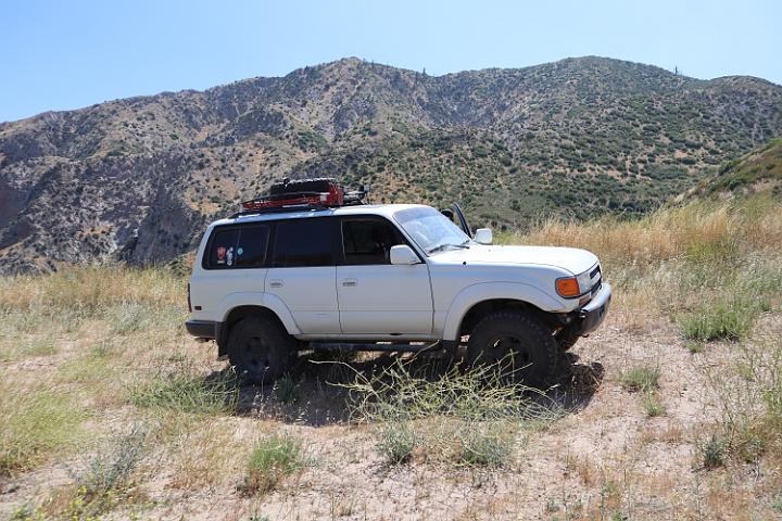 IMG 0281
