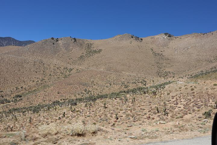 IMG 0353