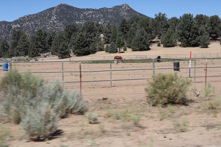 IMG 0366