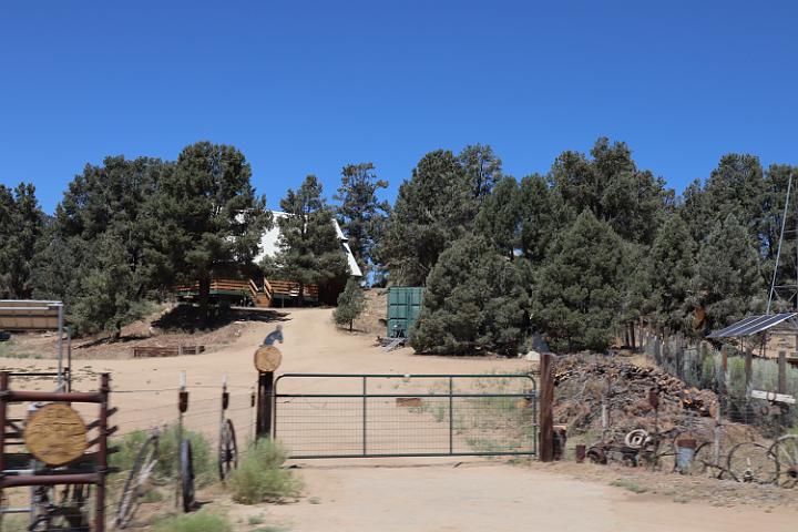 IMG 0367