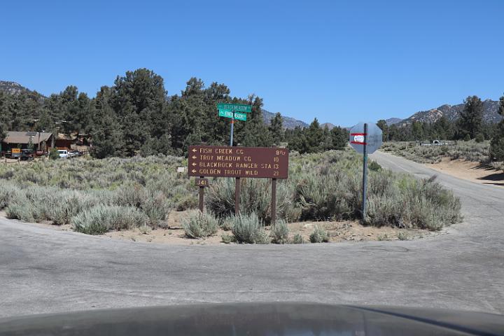 IMG 0368