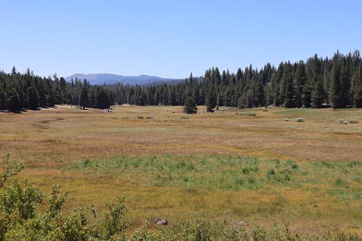 IMG 0381