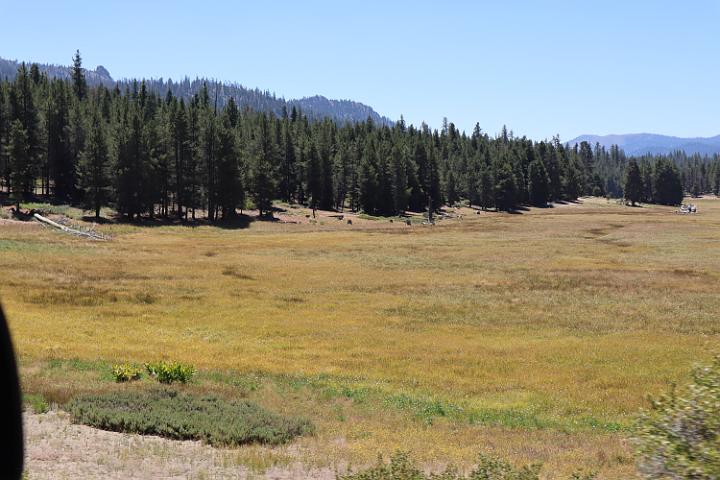 IMG 0382