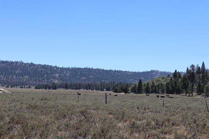 IMG 0385